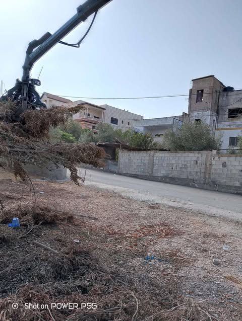  تنظيف أحياء المدينة من مخلفات الأشجار.