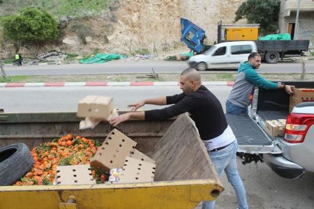  مصادرة واتلاف مواد غذائية واصناف الفاكهة غير صالحة للاستهلاك الادمي 